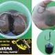 Nstraha Fanatic Catfish Hooks