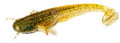 Dipovan umel nstrahy Catfish 75mm-3